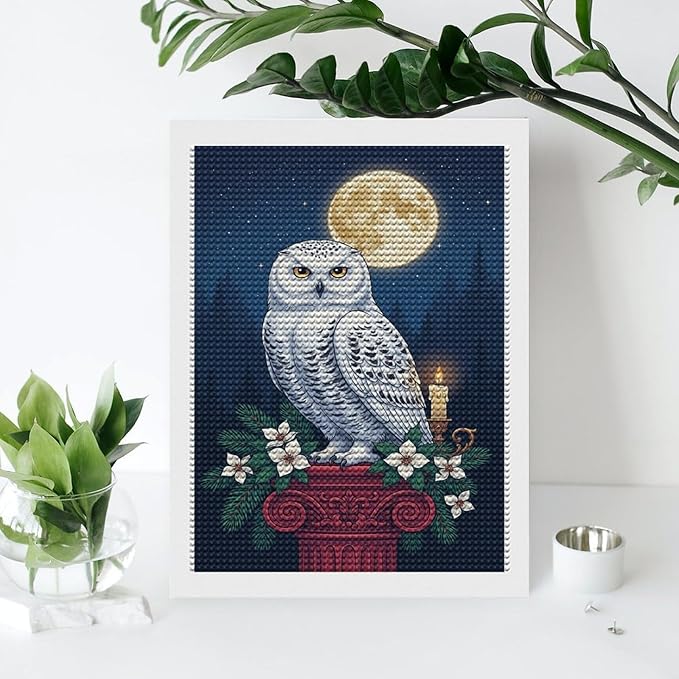 KIVJMSIDJA Snowy Owl & Candle Glow - Winter Night Scene Diamond Art Kits for Adults for Beginners, 5D Full Diamond Art Paint 12"x16"