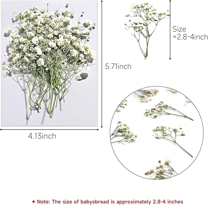 CONVELIFE Dried Babys Breath White, 48pcs Dried Flowers for Resin Pressed from Natural Flowers, Natural Pressed Flowers for Wedding Resin Art Craft DIY Card Making Home Party Decor (White)