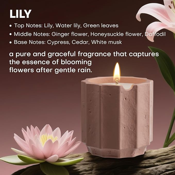 Scented Candles Set for Home, Natural Soy Wax Candle Gift, Non-Toxic Cement Jar Candles, Luxury Aromatherapy for Stress Relief, Highly Scented, Gifts for Women and Men (Lily)