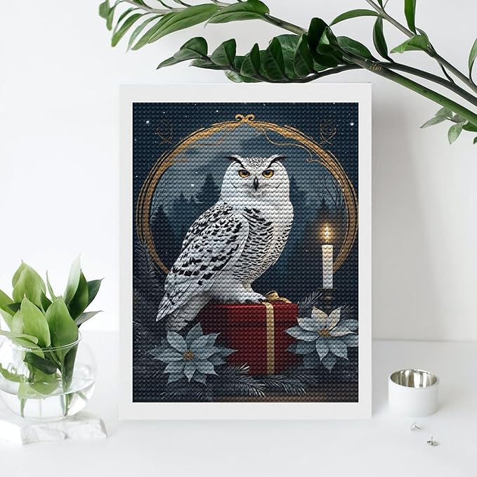 KIVJMSIDJA Diamond Art Kits for Adults Snowy Owl & Candle Glow - Winter Night Scene DIY Round Diamond Art for Home Wall Decor & Crafts Gifts 12"x16"