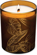 Hemlock Park Amber Gold Leaf Glass Wood Wick Candle Handcrafted with Natural Coconut Wax (Standard 7.2 oz, Golden Hour)