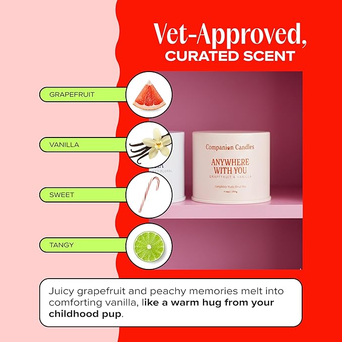 Companion Candles Anywhere with You Pet-Friendly Scented Candle – Grapefruit & Vanilla Fragrance - Coconut Soy Wax Candle with Wooden Wick, Approx. 50-Hour Burn Time, Made in USA, 11.8 oz