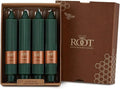 Root Candles 4-Count Unscented Dinner Candles Dripless Beeswax Enhanced Grecian Collenette Boxed Candle Set, 7-Inch, Dark Green