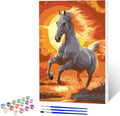 NAIMOER Horse Paint by Numbers Kits for Adults Beginner with Wooden Framed, Color by Numbers on Canvas Painting Kits for Adults, Easy Paint DIY Acrylic for Home Wall Decor 8X12 Inch