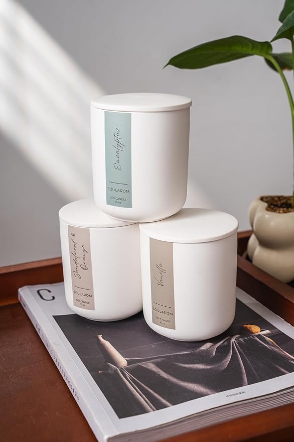 Candles for Home Scented – 10oz Hand Poured Aromatherapy Eucalyptus Candle Soy Wax Candles in Elegant Ceramic Jar – Crackling Wooden Wick Decorative Candle with 60 Hours Burn Time