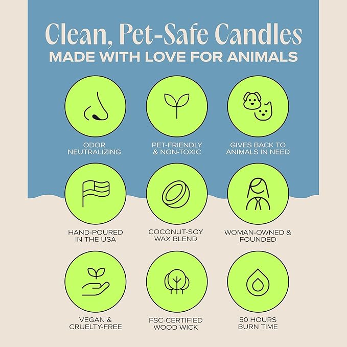 Companion Candles Cuddle Me Cozy Pet-Friendly Scented Candle – Linen, Cotton & Musk Fragrance - Coconut Soy Wax Candle with Wooden Wick, Approx. 50-Hour Burn Time, Made in USA, 11.8 oz