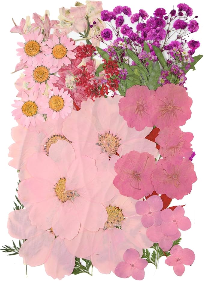 10 Types 50PCS Dried Flowers for Resin & Pressed Flowers Kit -Real Pressed Flowers and Leaves for DIY Art, Crafts, Pressed Flower Frame, Jewelry, Bookmarks ect- Perfect for Unique Gifts and Home Decor