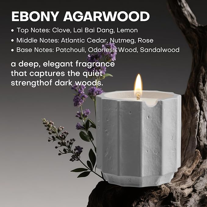 Scented Candles Set for Home, Natural Soy Wax Candle Gift, Non-Toxic Cement Jar Candles, Luxury Aromatherapy for Stress Relief, Highly Scented, Gifts for Women and Men (Ebony Agarwood)