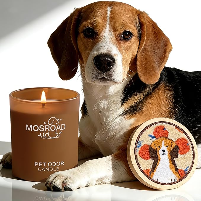 Pet Odor Eliminator Candle – Fresh Citrus, 60-Hour Long Burn Time, Plant Based Pet Safe Soy Wax Candles for Home Scented, Cat & Dog Friendly Odor Eliminating Candle Gift