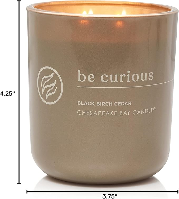 Chesapeake Bay Candle Intentions Collection Candle Be Curious: Possibilities are endless (Black Birch Cedar) 13 oz Home Décor