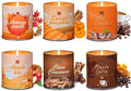6Pack/54oz Non-Toxic Scented Candle Set, Fall Winter Candles, Decorative Holiday Candles for Women Men, 9oz Apple/Cinnamon/Pumpkin/Vinilla/Cocoa/Maple Soy Christmas Scented Candle for Holiday Gifts