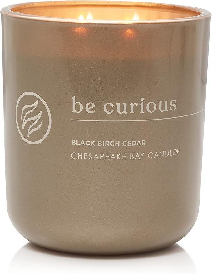 Chesapeake Bay Candle Intentions Collection Candle Be Curious: Possibilities are endless (Black Birch Cedar) 13 oz Home Décor