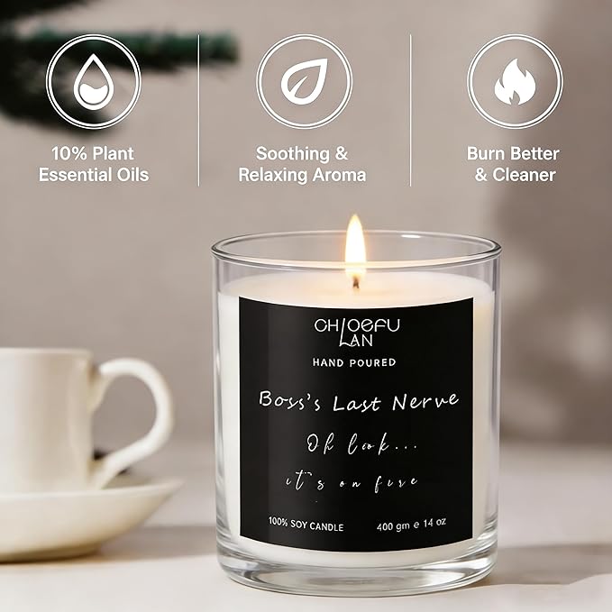 Chloefu LAN My Last Nerve Candle, Boss Gifts for Women & Men, Office Gift for Coworkers Employee Boss Lady Manager Colleague, Appreciation Inspirational, Lilac Candle 14 Oz