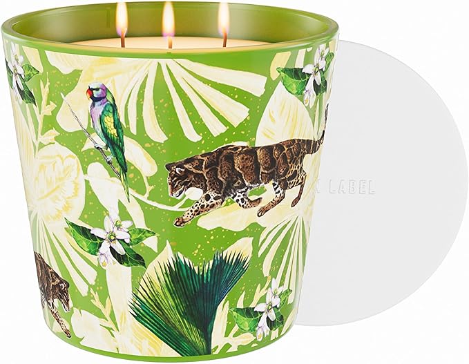 Verbena & Fig Leaf Scented Candle, 30oz Large 3 Wick Soy Candle, 100+ Hours Long Burning, Spa-Quality Aromatherapy for Home & Bathroom, Non-Toxic Luxury Candle Gifts for Housewarming