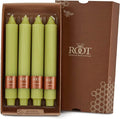 Root Candles 4-Count Unscented Dinner Candles Dripless Beeswax Enhanced Grecian Collenette Boxed Candle Set, 9-Inch, Willow