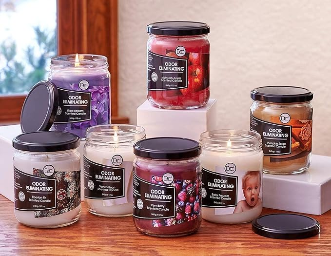 Horchata Odor Eliminating Highly Fragranced Candle - Eliminates 95% of Pet, Smoke, Food, and Other Smells Quickly - Up to 80 Hour Burn time - 12 Ounce Premium Soy Blend