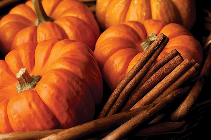 Root Candles Fall Scented Candles in Travel Tin 24-Hour Honeycomb Traveler Handcrafted Beeswax Blend Candle, 4-Ounce, Pumpkin Spice