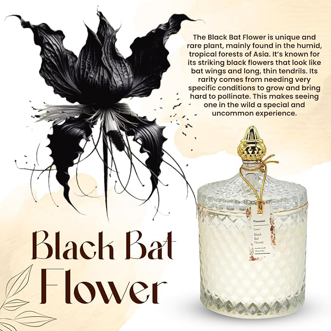 VIONAMI Luxury Scented Candle Gift – Black Bat Rare Flower Fragrance in Elegant Glass Jar, Decorative Soy Candles Gifts for Women, Long-Lasting 80 Hr, 14.8 oz, Luxury Candles for Women