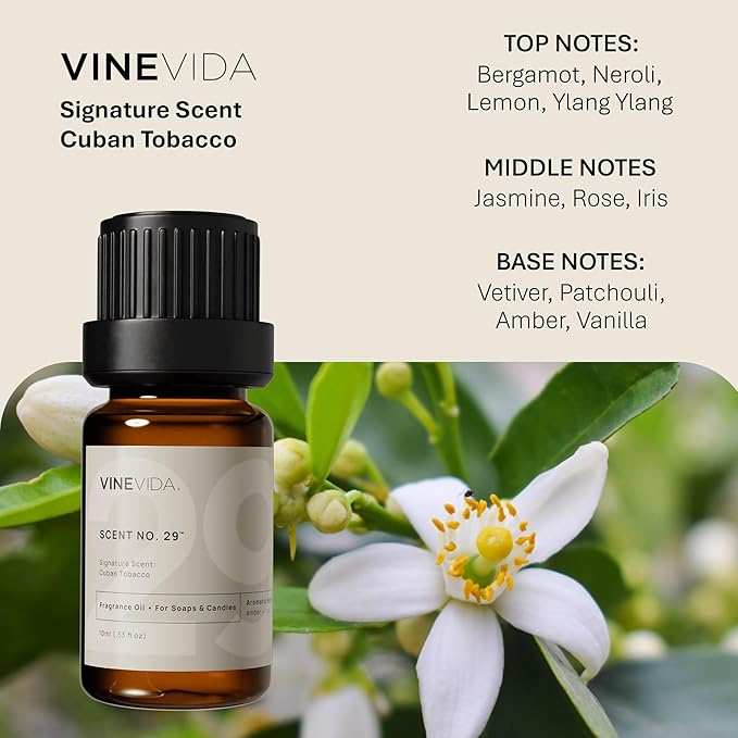 VINEVIDA [0.33oz] Scent No.29 Fragrance Oil for Candle Making - Made in USA Natural Candle Scents - Soap Making Fragrance Oil