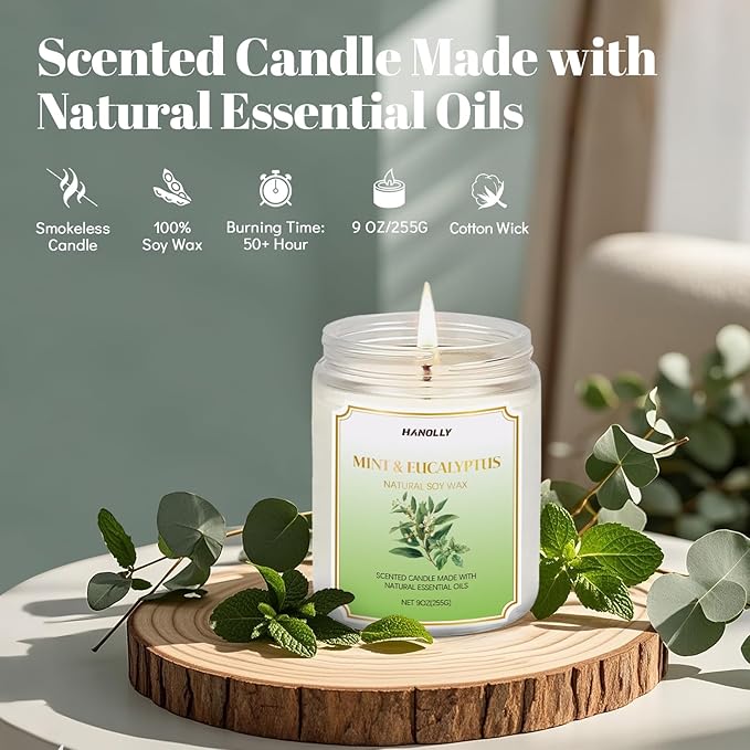 Mint & Eucalyptus Candle, 9 oz Scented Candles for Home Soy Candle Wax, Aromatherapy Candles for Women Men, Birthday Christmas Gifts, Perfect for Creating a Relaxing Ambiance