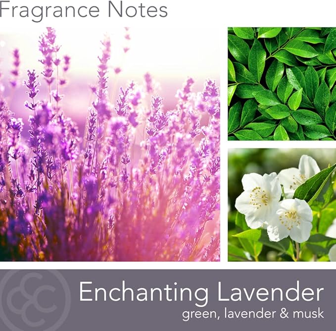 Carolina Enchanting Lavender Scented Candle, 16 oz Wellness Relaxing Aromatherapy Candle, 2 Wick White Jar Soy Blend Wax, Candles for Home, 60H Burn - Made in The USA