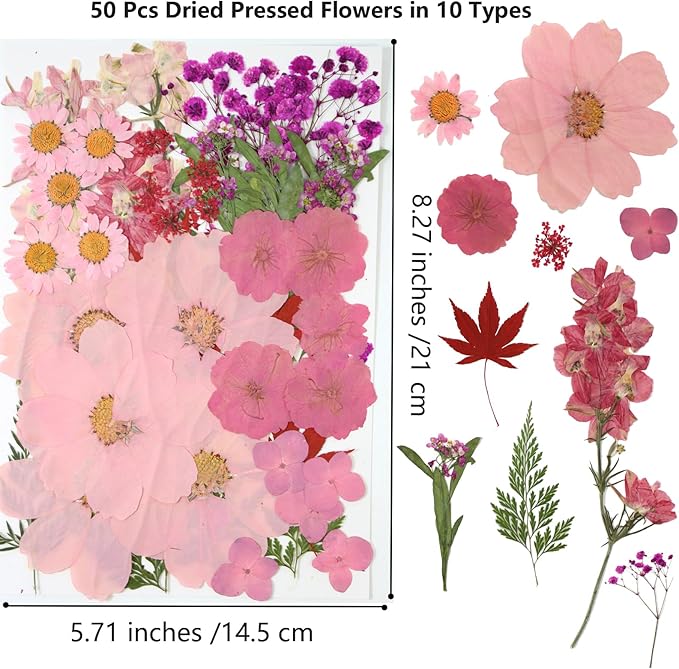 10 Types 50PCS Dried Flowers for Resin & Pressed Flowers Kit -Real Pressed Flowers and Leaves for DIY Art, Crafts, Pressed Flower Frame, Jewelry, Bookmarks ect- Perfect for Unique Gifts and Home Decor