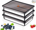 Stainless Steel Food Storage Containers, Silver, Airtight with Vacuum Seal, Stackable Rectangular, 3-Piece Set, BPA-Free Lids, for Meal Prep and Leftovers Storage(Shallow- 1.9'' Height)