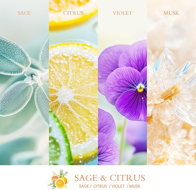Sage Citrus Lemon Odor Eliminating Candles, Pet Scented Candles for Home, Single Wick Soy Candle Gifts for Women, Men, Ideal for Creating Relaxing Atmosphere, Over 50 Hours of Burn Time
