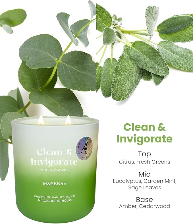 M&SENSE Sage Eucalyptus Scented Candle for Home, 14.1oz 80-Hour Non Toxic Long-Lasting Natural Soy Wax Fragrance, 2 Wick Summer Scented Aromatherapy Candle for Relaxing Stress Relief Meditation Yoga