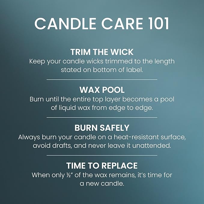 Yankee Candle Bayside Cedar Scented Candle, 22oz Large Jar with up to 150 Hour Burn Time, Giftable