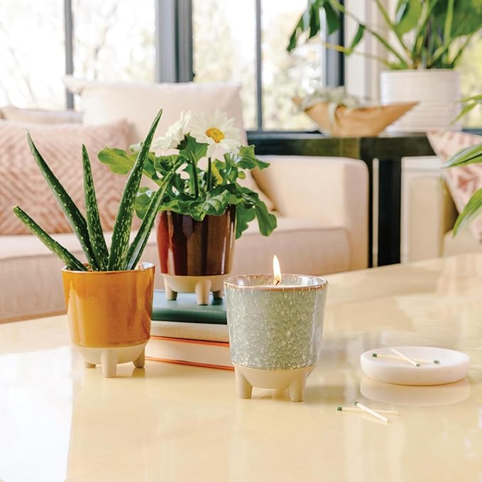 Modern Sprout Glow and Grow Kit - 2 in 1 Scented Candle That Grows into a Basil Plant - 12 oz Soy Candle with 78 hr Burn time in Glaze Ceramic Vessel - Planter Ideal for Home Decor Aesthetic