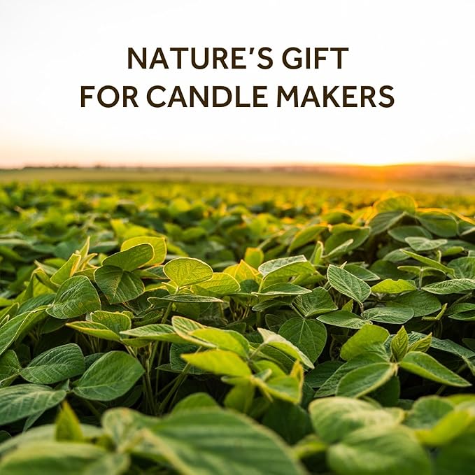 NORVENCE Soy Wax for Candle Making, Natural Soy Wax Flakes 20lb, Premium Candle Wax for DIY Candle Crafting