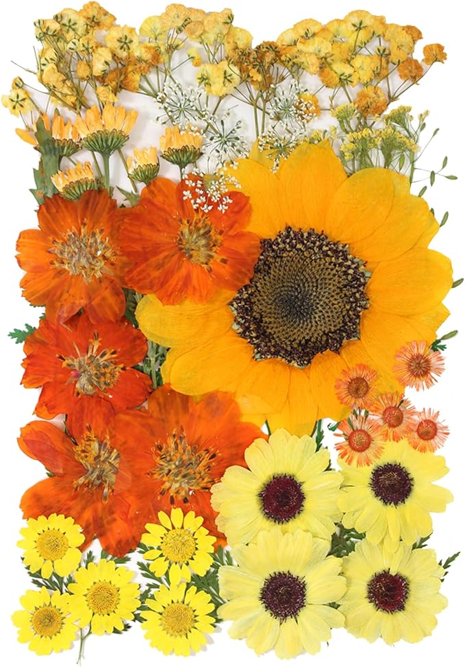50 Pcs Dried Flowers for Resin,Real Pressed Flowers Leaves Mixed Multiple Natural Kit for Christmas DIY Gift,Art Crafts,Candle, Soap Making, Nails Decor