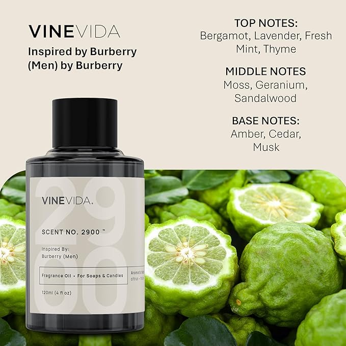 VINEVIDA [120mL] No. 2900 (Men) Fragrance Oil for Candle Making - Natural Candle Oil Scents - Soap Making Essential Oil - Made in USA