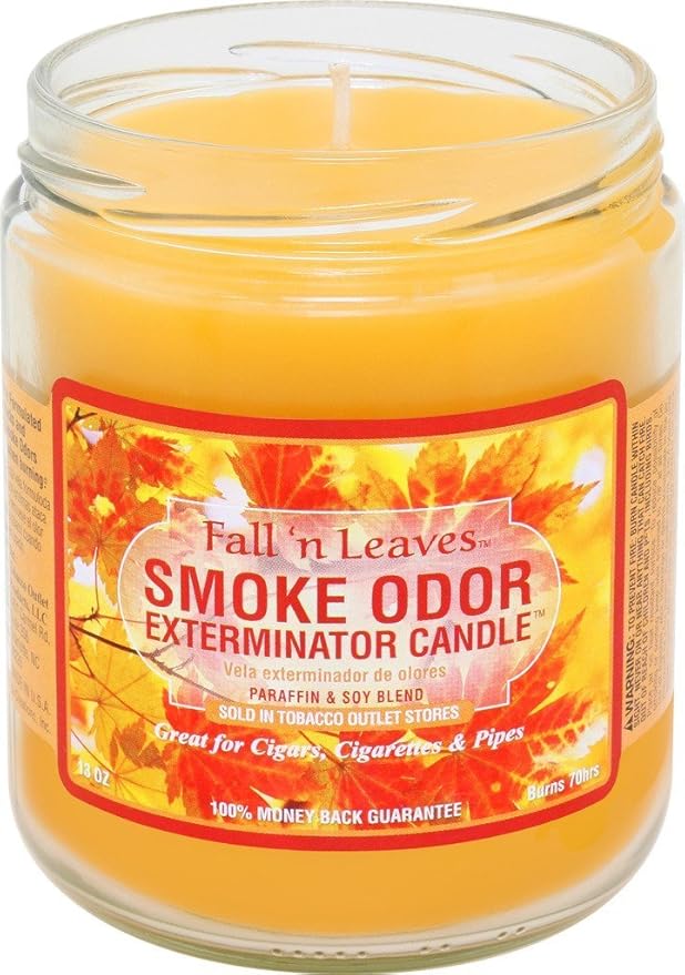 Smoke Odor Exterminator 13oz Jar Candles (Fall N Leaves, 1)