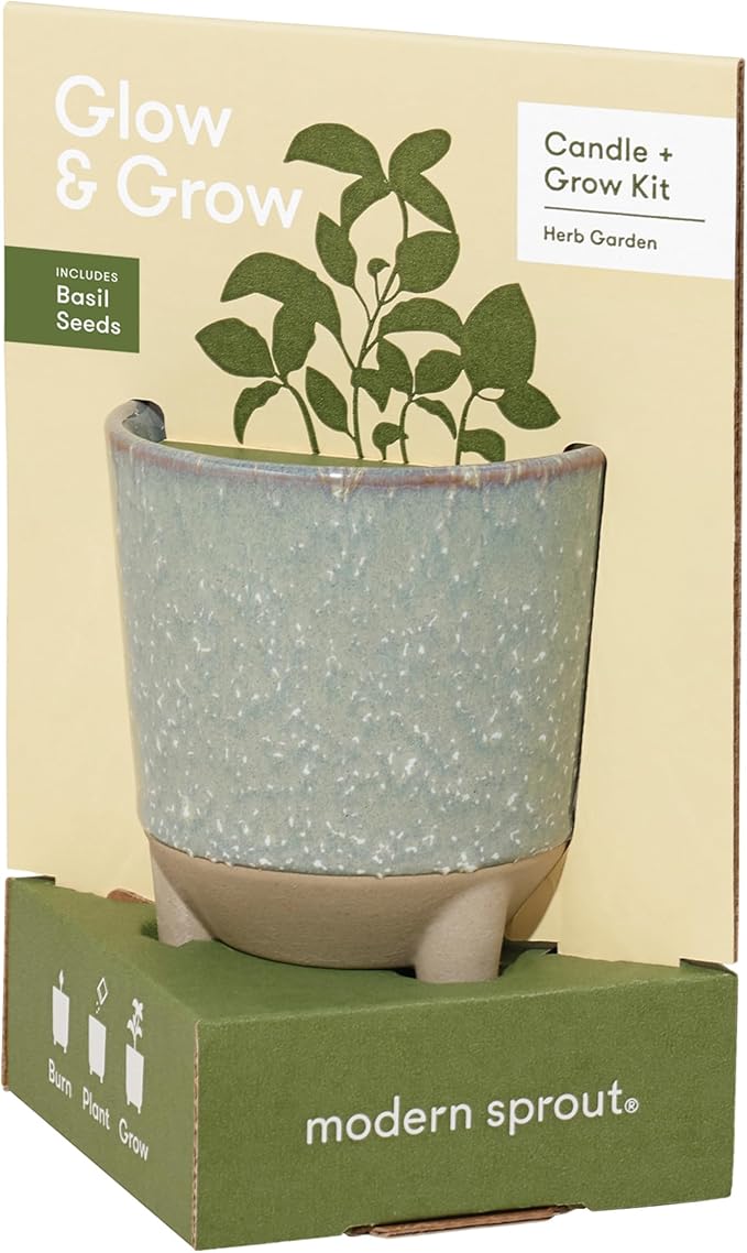 Modern Sprout Glow and Grow Kit - 2 in 1 Scented Candle That Grows into a Basil Plant - 12 oz Soy Candle with 78 hr Burn time in Glaze Ceramic Vessel - Planter Ideal for Home Decor Aesthetic