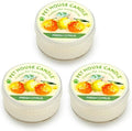 Pet House Mini Candles for Pet Odor Made with Natural Soy Wax, Plant Based, Dog and Cat Friendly Scented Candles, Fresh Citrus Pack of 3