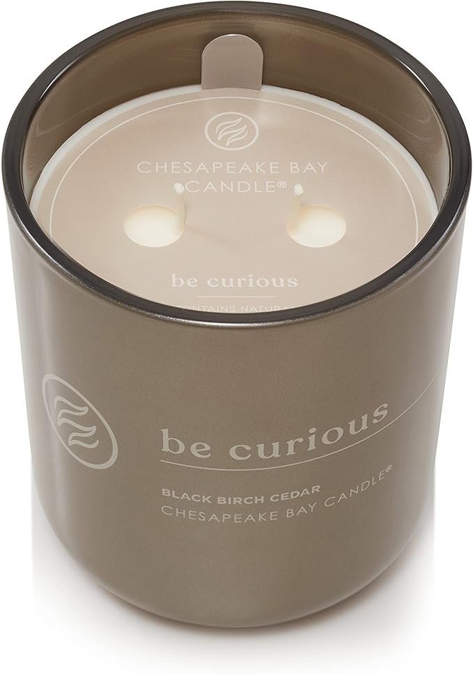 Chesapeake Bay Candle Intentions Collection Candle Be Curious: Possibilities are endless (Black Birch Cedar) 13 oz Home Décor