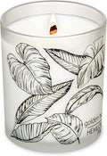 Hemlock Park Frosted Jar Wood Wick Candle Handcrafted with Natural Coconut Wax (Standard 7.2 oz, Golden Hour)