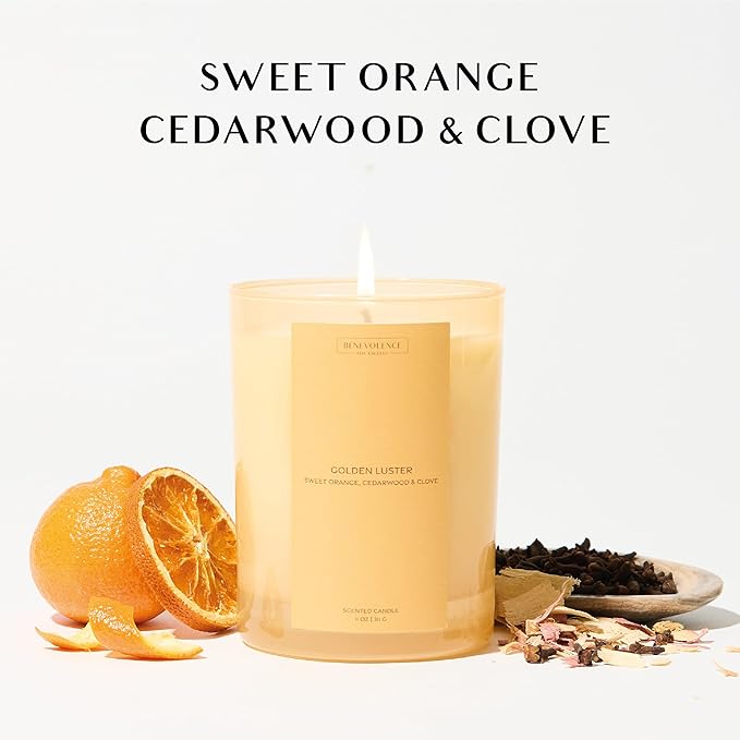 Orange, Cedarwood & Clove Scented Candle | 11oz, 60 Hour Burn | Natural Soy Wax, Cotton Wick | Soy Scented Candles for Home | Sun-Kissed Collection - Golden Luster