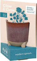 Modern Sprout Glow and Grow Kit - 2 in 1 Scented Candle that Grows into a Daisy Plant - 12 oz Soy Candle with 78 hr Burn time in Glaze Ceramic Vessel - Planter Ideal for Home Decor Aesthetic