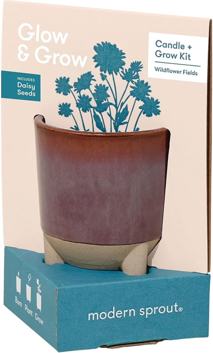 Modern Sprout Glow and Grow Kit - 2 in 1 Scented Candle that Grows into a Daisy Plant - 12 oz Soy Candle with 78 hr Burn time in Glaze Ceramic Vessel - Planter Ideal for Home Decor Aesthetic