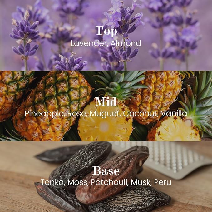 M&SENSE Natural Soy Large Candle| Lavender Vanilla | 16.6 oz, 95H Burn | Mini Spring Scented Candles for Relaxation, Valentines Day Gift, Home Décor | for Bedroom, Office, Party