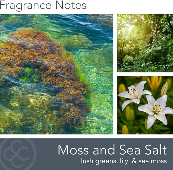 Carolina Moss & Sea Salt Scented Candle, 16 oz Wellness Relaxing Aromatherapy Candle, 2 Wick White Jar Soy Blend Wax, Candles for Home, 60H Burn - Made in The USA