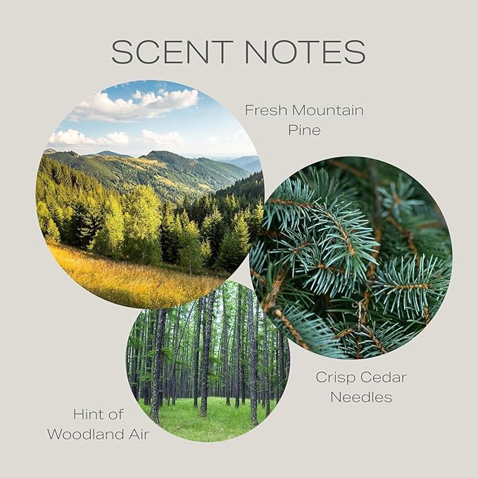 Pine Candle 9.7 oz: 55 Hrs Burn Time - Pine Scented Candles in Frosted Glass Jar with Wooden Crackling Wick in a Luxurious Gold Foil Lined Gift Box
