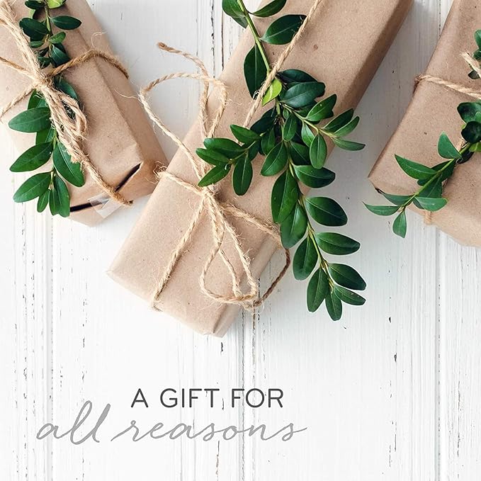 Thymes Scented Candles for Home Decor - Luxury Home Fragrance Gifts for Women & Men - Winter Candles with Crisp Notes of Sage, Eucalyptus, & Cypress Needles - Sage-Green (Highland Frost, 13 oz)