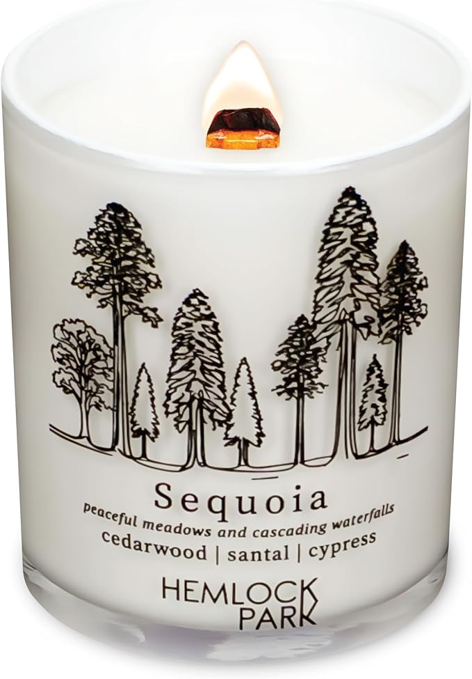 Hemlock Park Travel Inspired Passport Crackling Wood Wick Candle Handcrafted with Natural Plant-Based Coconut Wax (Standard 7.2 oz, Sequoia | Cedarwood, Santal, Cypress)