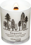 Hemlock Park Travel Inspired Passport Crackling Wood Wick Candle Handcrafted with Natural Plant-Based Coconut Wax (Standard 7.2 oz, Sequoia | Cedarwood, Santal, Cypress)