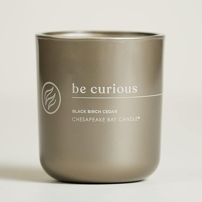 Chesapeake Bay Candle Intentions Collection Candle Be Curious: Possibilities are endless (Black Birch Cedar) 13 oz Home Décor
