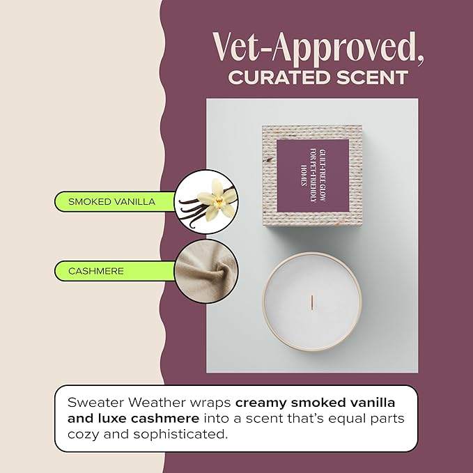 Companion Candles Sweater Weather Pet-Friendly Scented Candle – Smoked Vanilla & Cashmere Fragrance - Coconut Soy Wax Candle with Wooden Wick, Approx. 50-Hour Burn Time, Made in USA, 11.8 oz